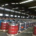 China G450 Color Coated Steel Coils Supplier